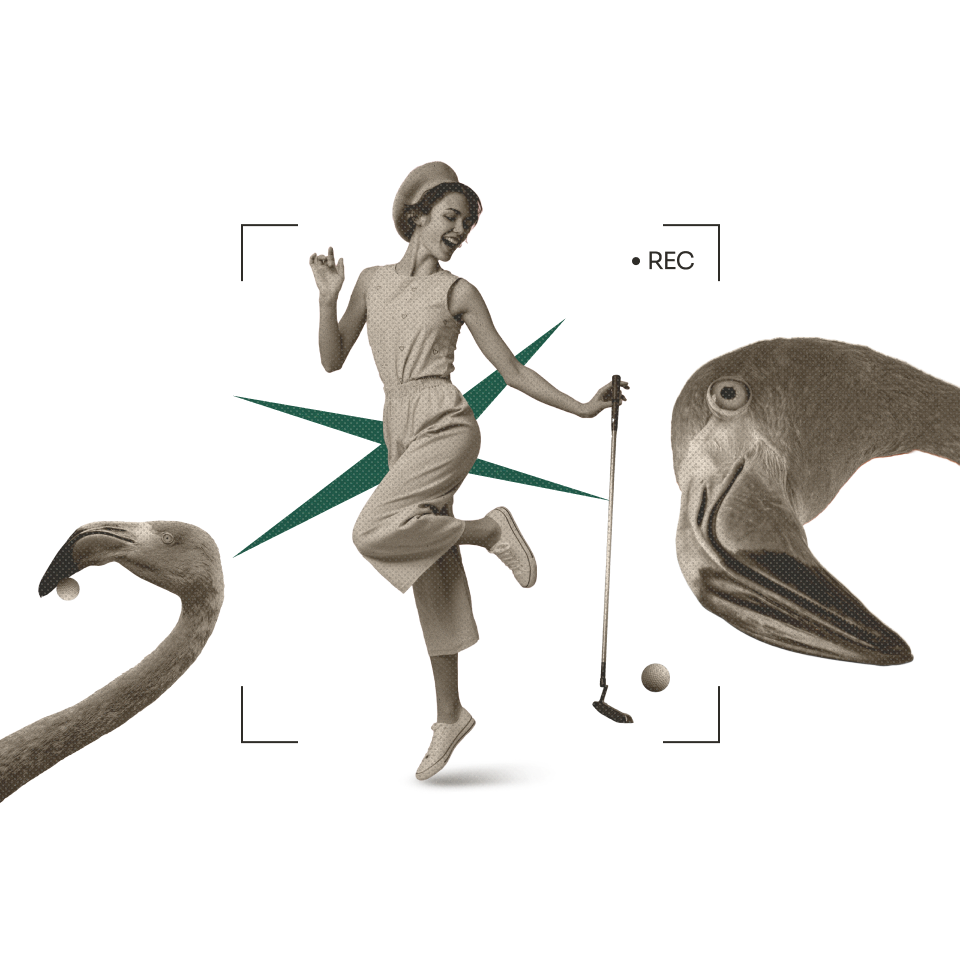 Flamingo Challenge Banner